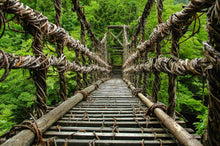 Charger l'image dans la galerie, Kazurabashi