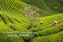 Charger l'image dans la galerie, Cartes "Regard'Ailleurs"