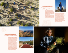 Charger l'image dans la galerie, Le Thé, la Terre, les Hommes