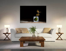 Charger l'image dans la galerie, Bonzai - Momiji