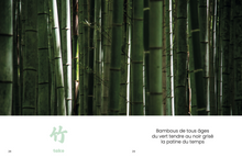 Charger l'image dans la galerie, Wabi Sabi - En quête d'harmonie