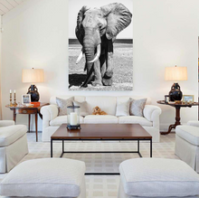 Charger l'image dans la galerie, Force tranquille