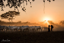 Charger l'image dans la galerie, On the way home