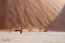 Charger l'image dans la galerie, Témoins silencieux du temps qui passe