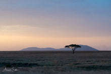 Charger l'image dans la galerie, Loneliness
