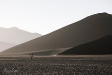 Charger l'image dans la galerie, Seul au Monde