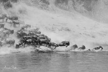 Charger l'image dans la galerie, La traversée