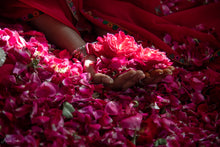 Charger l'image dans la galerie, Pétales de rose