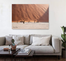 Charger l'image dans la galerie, Témoins silencieux du temps qui passe