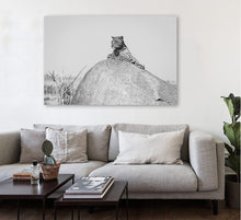 Charger l'image dans la galerie, La sieste