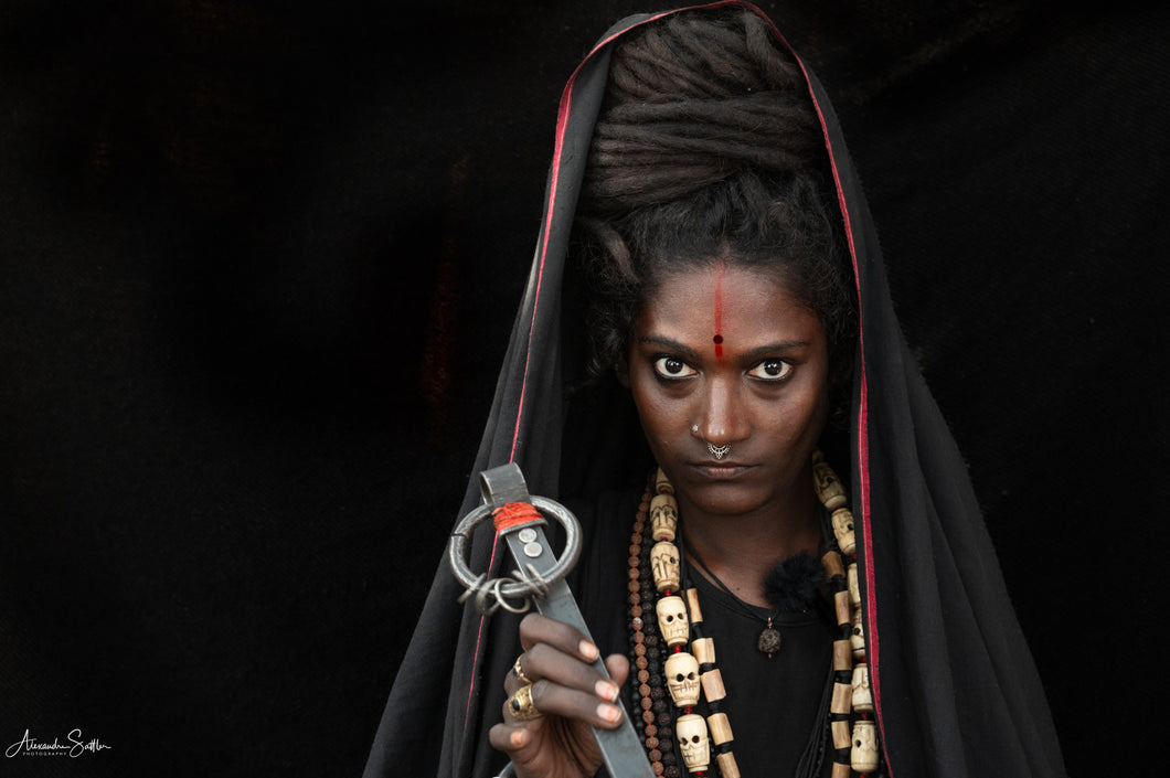 Shree Dhanalakshmi 